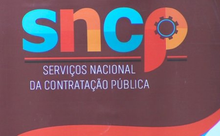 POR IRREGULARIDADES: MAIS DE 50 EMPRESAS ANGOLANAS IMPEDIDAS DE CELEBRAR CONTRATOS PÚBLICOS