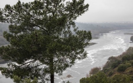 MAIS DE 500 MORTES EM PORTUGAL LIGADAS A FONTES DE ÁGUA INSALUBRES