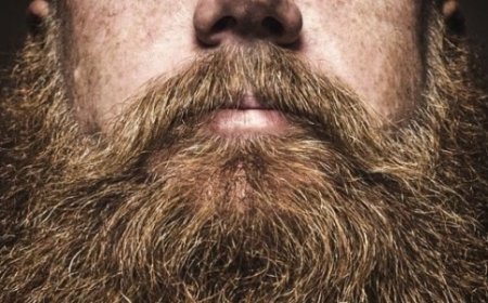 VERDADE POR DETRÁS DAS BARBAS: SANTUÁRIO DE ESTILO OU CELEIRO DE MICRÓBIOS?