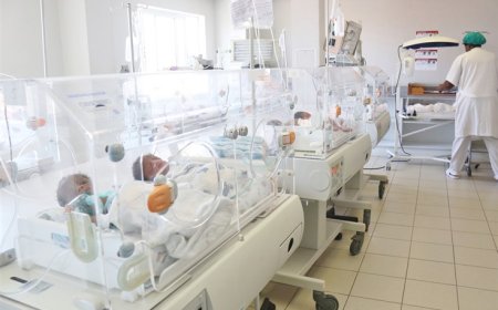 GOVERNO PROMETE COBERTURA TOTAL DO REGISTO CIVIL NAS MATERNIDADES ATÉ DEZEMBRO