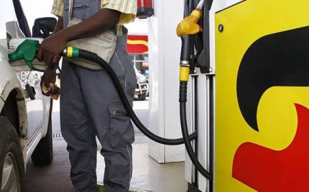 LÍDER DA UNITA REPROVA AUMENTO DO COMBUSTÍVEL E CRITICA FALTA DE REFORMAS ESTRUTURAIS