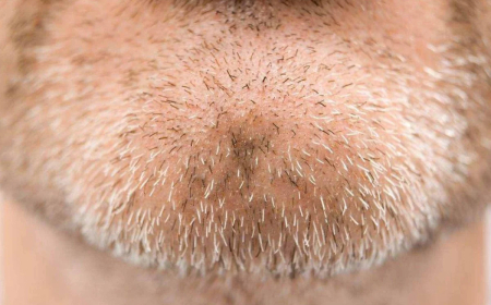 CORPO HUMANO ESCONDE MISTÉRIOS QUE A EVOLUÇÃO AINDA NÃO CONSEGUE EXPLICAR