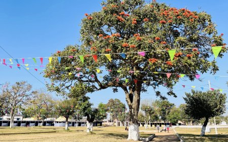 BAILUNDO CELEBRA 123 ANOS DE EXISTÊNCIA COM FOCO NA INFLUÊNCIA DA CULTURA OVIMBUNDU