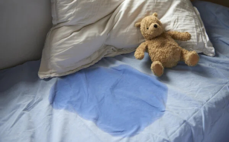 CAUSAS QUE LEVAM ADULTOS A URINAR NA CAMA