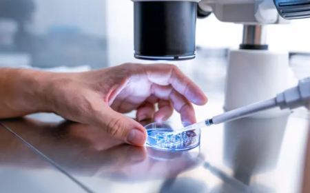 ESTUDO CIENTÍFICO ENALTECE A COMPLEXIDADE DO EMBRIÃO HUMANO