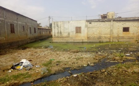 ADOLESCENTES ACUSADAS DE CONTRIBUIR PARA O AUMENTO DA CRIMINALIDADE