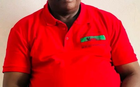 UNITA NO HUAMBO SOLIDARIZA-SE COM TAXISTAS FACE À SUBIDA DO PREÇO DO GASÓLEO