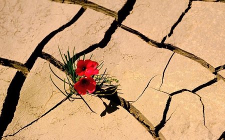 CRÓNICA DE FÉ, LUTA E RESILIÊNCIA