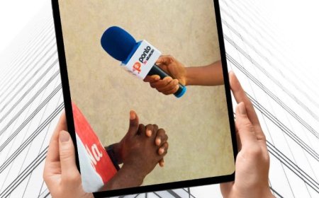 O PONTO DE SITUAÇÃO: ONDE A JORNADA COMEÇOU E A INSPIRAÇÃO FLORESCE