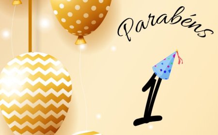 PORTAL PONTO DE SITUAÇÃO-1 ANO DE EXISTÊNCIA AO SERVIÇO PÚBLICO