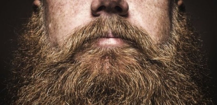 VERDADE POR DETRÁS DAS BARBAS: SANTUÁRIO DE ESTILO OU CELEIRO DE MICRÓBIOS?