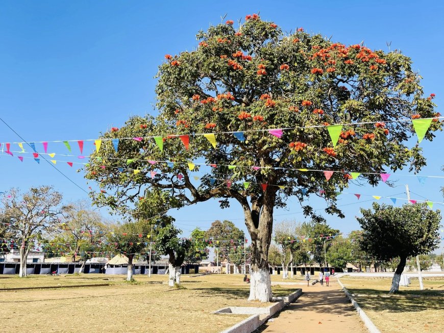 BAILUNDO CELEBRA 123 ANOS DE EXISTÊNCIA COM FOCO NA INFLUÊNCIA DA CULTURA OVIMBUNDU