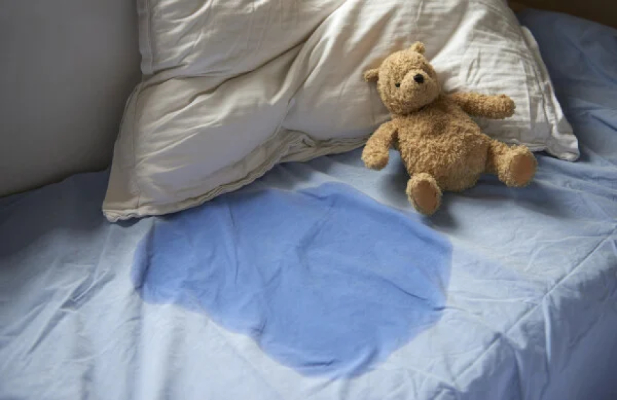 CAUSAS QUE LEVAM ADULTOS A URINAR NA CAMA