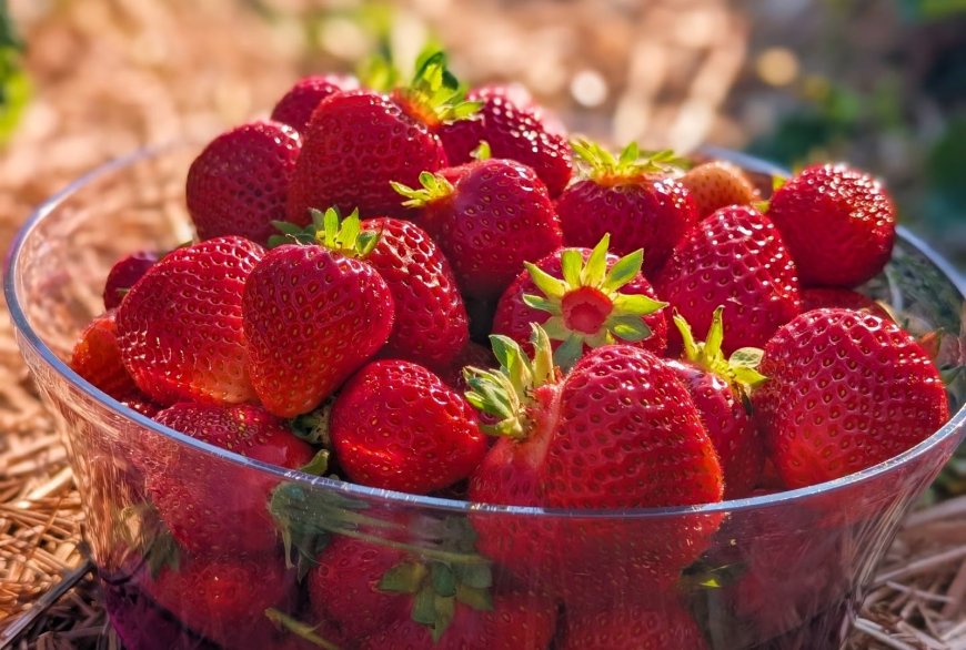 RECEITA DA SEMANA: MORANGO DO AMOR