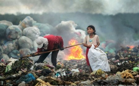 HOMEM: O PERIGO PARA O MEIO AMBIENTE