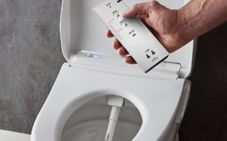 TECNOLOGIA JAPONESA PROMETE SUBSTITUIR PAPEL HIGIÉNICO