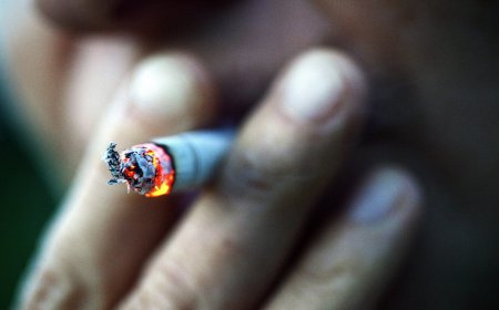 INDÚSTRIA DO TABACO CAUSA MAIS DE OITO MILHÕES DE MORTES POR ANO