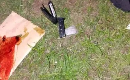 POR ESCLARECER AS CIRCUNSTÂNCIAS DA MORTE DO GUARDA-COSTA DA VICE-PRESIDENTE DA REPÚBLICA