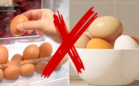 LOCAIS ONDE NÃO DEVEM SER GUARDADOS OVOS