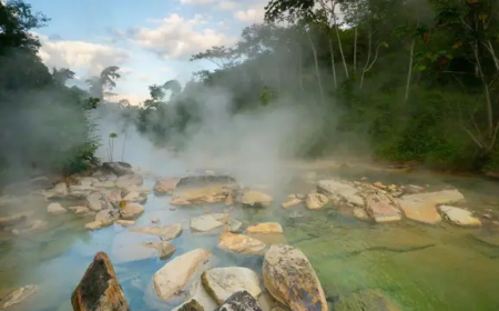 PESQUISA DESVENDA SEGREDO DA AMAZÔNIA