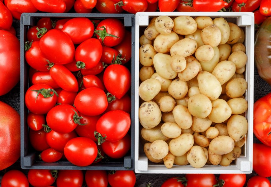 ESTUDO COM MAIS DE 500 GENOMAS: 'DNA DO TOMATE' ESTÁ NA ORIGEM DA BATATA