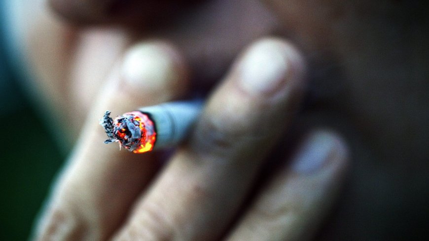 INDÚSTRIA DO TABACO CAUSA MAIS DE OITO MILHÕES DE MORTES POR ANO