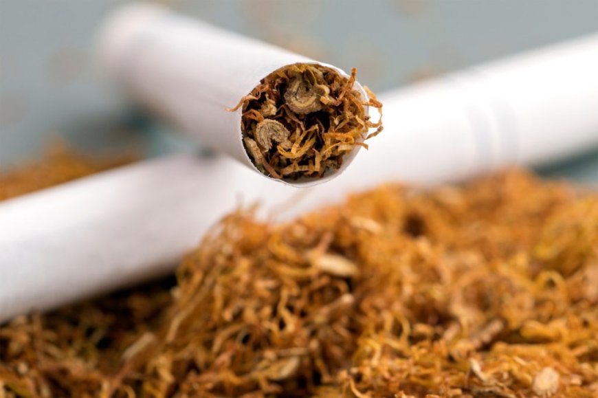 INDÚSTRIA DO TABACO CAUSA MAIS DE OITO MILHÕES DE MORTES POR ANO