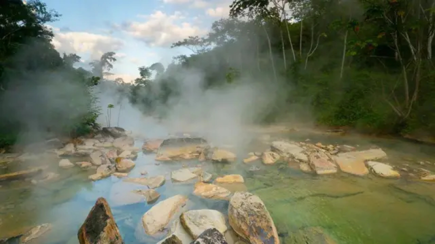 PESQUISA DESVENDA SEGREDO DA AMAZÔNIA