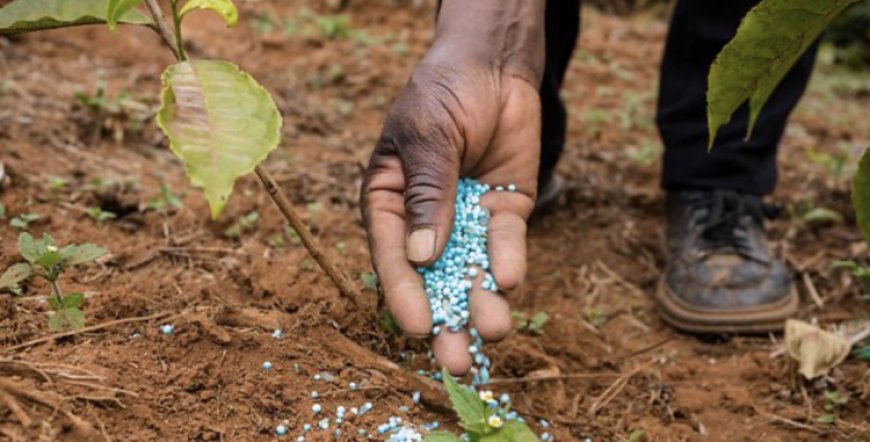 GOVERNO MANTÉM OLHOS NA PROPOSTA DE LEI SOBRE PESTICIDAS E FERTILIZANTES AGRÍCOLAS