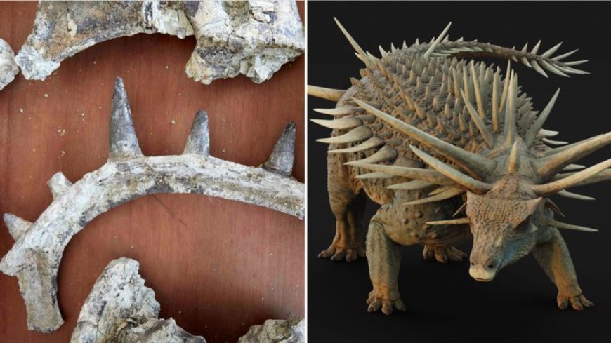 CIENTISTAS DESCOBREM FÓSSIL RARO DE DINOSSAURO COBERTO POR ARMADURA DE ESPINHOS