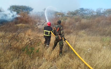 INCÊNDIO FLORESTAL AMEAÇA PROXIMIDADES DO AEROPORTO INTERNACIONAL DA MUKANKA