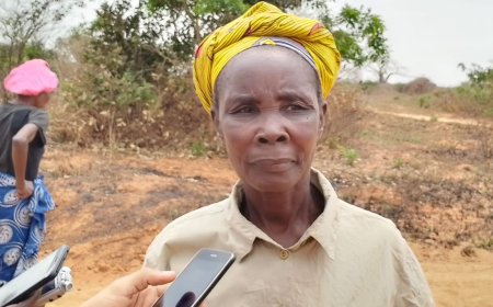 CONFLITO FUNDIÁRIO EM BELAS: CAMPONESA DENUNCIA INVASÃO DE TERRENO COM MAIS DE TRÊS HECTARES 