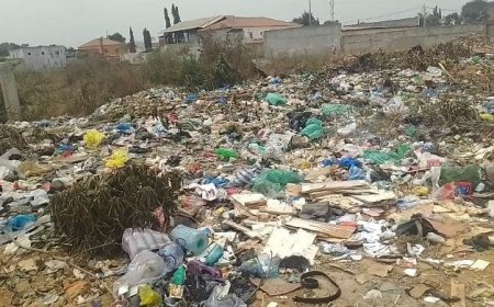 MENORES TRANSFORMAM LIXEIRA EM ZONA DE LAZER