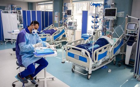FUNGO RESISTENTE À MEDICAMENTOS PROPAGA-SE NOS HOSPITAIS DOS PAÍSES EUROPEUS