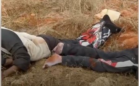 JOVENS ENCONTRADOS MORTOS NA ZONA DA NOVA CIMANGOLA