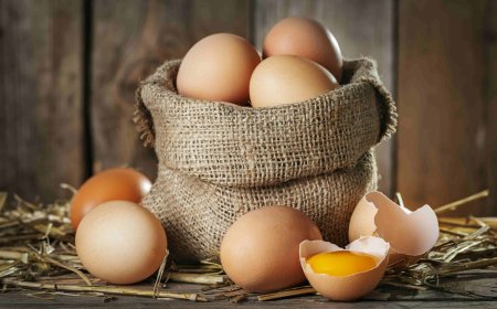 10 BENEFÍCIOS DO OVO PARA A SAÚDE