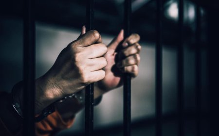 PRESO TRANSGENERO ENGRAVIDA DUAS COMPANHEIRAS DE CELA