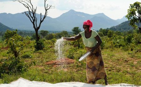 FADA E MAFCOM REFORÇAM SEGURANÇA E VALORIZAÇÃO DA AGRICULTURA FAMILIAR EM ANGOLA