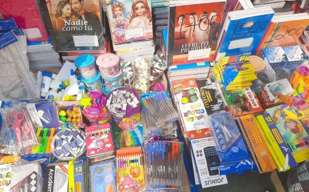 LUANDA REGISTA AUMENTO DO PREÇO DO MATERIAL ESCOLAR APÓS INÍCIO DO ANO LECTIVO