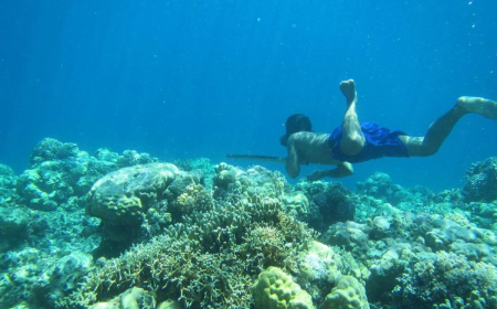 TRIBO CONSIDERADA AQUÁTICA POR PASSAR MAIOR PARTE DO TEMPO DEBAIXO DA ÁGUA