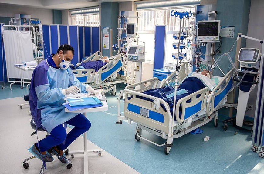 FUNGO RESISTENTE À MEDICAMENTOS PROPAGA-SE NOS HOSPITAIS DOS PAÍSES EUROPEUS