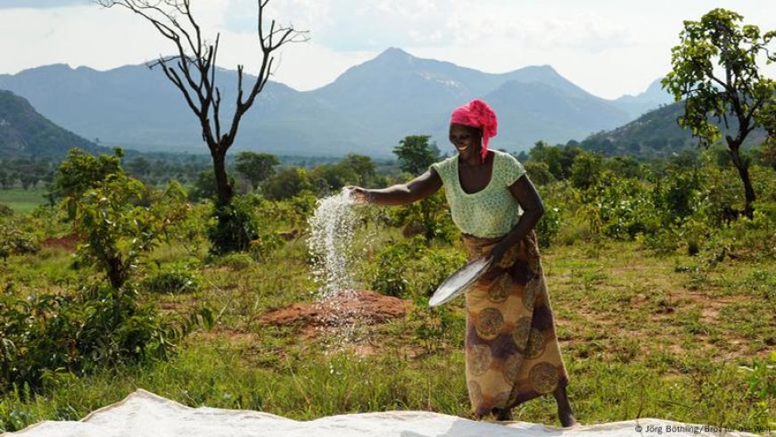 FADA E MAFCOM REFORÇAM SEGURANÇA E VALORIZAÇÃO DA AGRICULTURA FAMILIAR EM ANGOLA