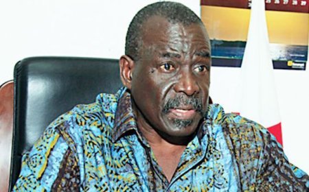 PRESIDENTE DA FNLA SUSPENDE NGOLA KABANGO