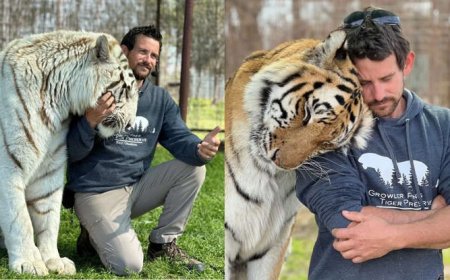 CUIDADOR MORRE APÓS SER ATACADO POR TIGRE EM SANTUÁRIO NOS EUA