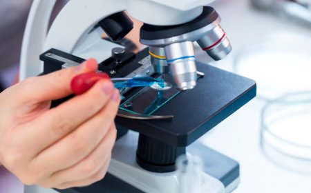 CIENTISTAS DESCOBREM MEDICAMENTO QUE PODE PROLONGAR A VIDA