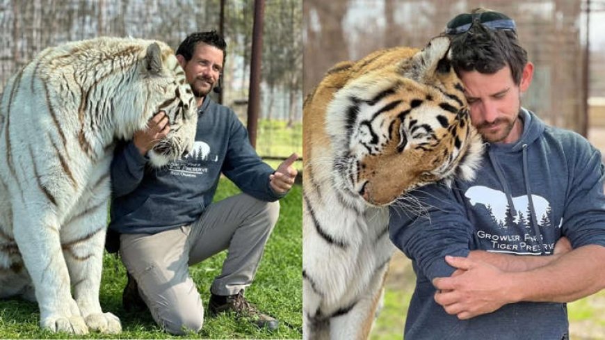 CUIDADOR MORRE APÓS SER ATACADO POR TIGRE EM SANTUÁRIO NOS EUA