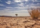 CABO VERDE QUER QUE PAÍSES CUMPRAM METAS CLIMÁTICAS ESTABELECIDAS