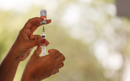 PAIS QUE RECUSAM VACINAR FILHOS MAIORITARIAMENTE SÃO  LICENCIADOS E DE CLASSE ALTA