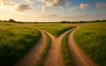 CAMINHOS QUE PRECISAMOS PERCORRER