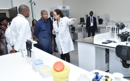 MINSA ANUNCIA INÍCIO DE TRANSPLANTES DE ÓRGÃOS NO PAÍS